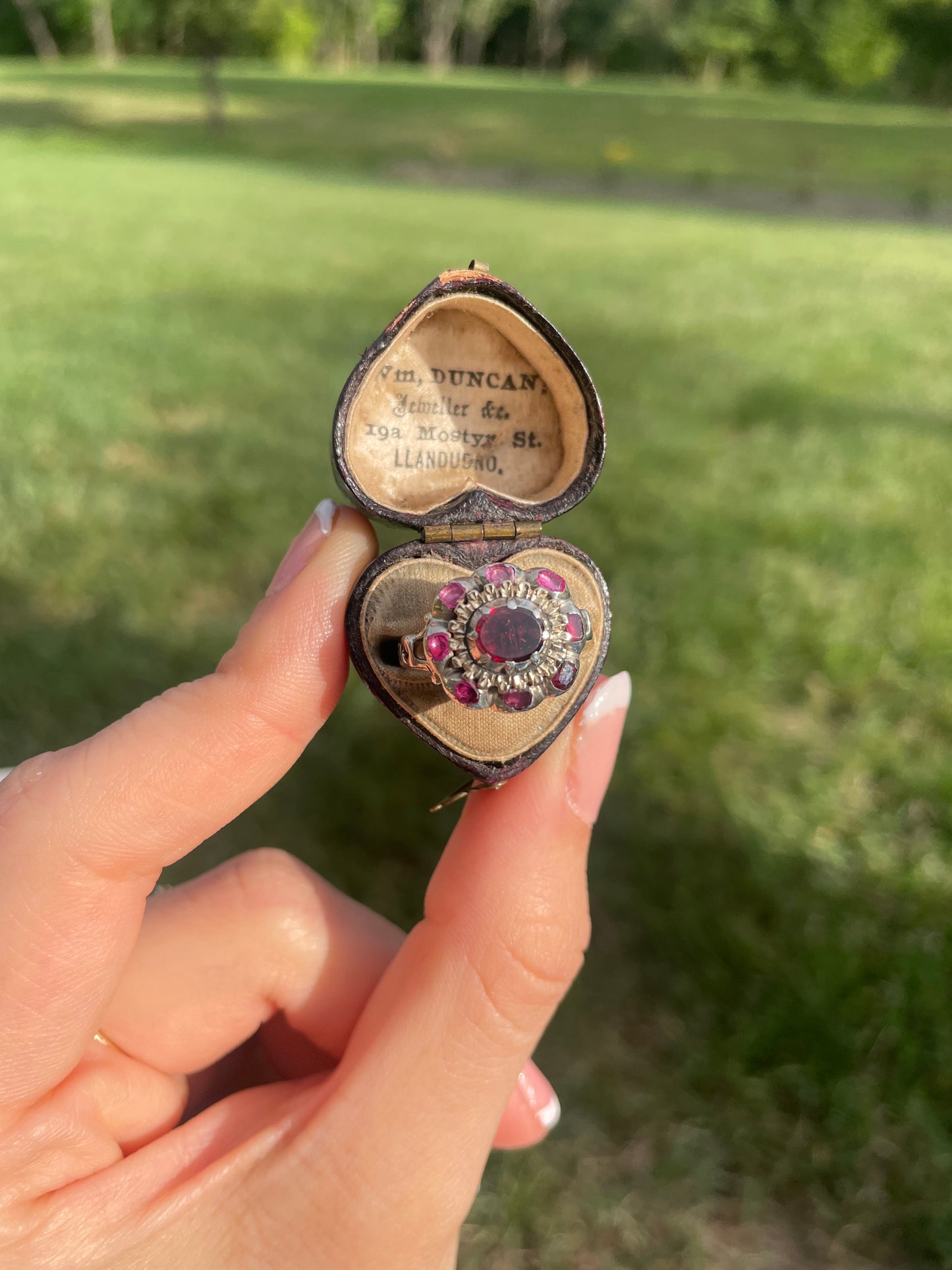 Georgian Garnet Cluster