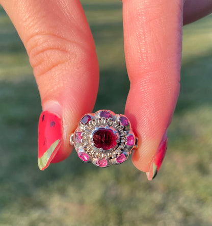 Georgian Garnet Cluster