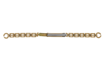 Vintage Gold Plated Gate Link Watch Strap